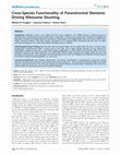 Research paper thumbnail of Cross-Species Functionality of Pararetroviral Elements Driving Ribosome Shunting