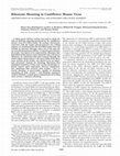 Research paper thumbnail of Ribosome Shunting in Cauliflower Mosaic Virus. IDENTIFICATION OF AN ESSENTIAL AND SUFFICIENT STRUCTURAL ELEMENT