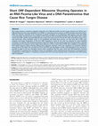 Research paper thumbnail of Short ORF-Dependent Ribosome Shunting Operates in an RNA Picorna-Like Virus and a DNA Pararetrovirus that Cause Rice Tungro Disease