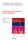 Research paper thumbnail of An insight into short- and long-term mechanical circulatory support systems