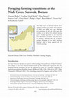 Research paper thumbnail of Foraging-farming transitions at the Niah Caves, Sarawak, Borneo