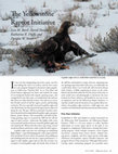 Research paper thumbnail of The Yellowstone Raptor Initiative