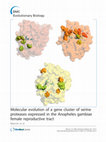 Research paper thumbnail of Molecular evolution of a gene cluster of serine proteases expressed in the Anopheles gambiae female reproductive tract