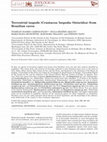 Research paper thumbnail of Terrestrial isopods (Crustacea: Isopoda: Oniscidea) in termite nests (Blattodea: Termitidae) in a cocoa plantation in Brazil