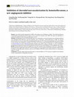 Research paper thumbnail of Inhibition of choroidal neovascularization by topical application of angiogenesis inhibitor vasostatin