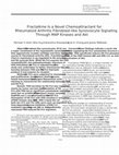 Research paper thumbnail of Fractalkine is a novel chemoattractant for rheumatoid arthritis fibroblast-like synoviocyte signaling through MAP kinases and Akt