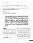 Research paper thumbnail of In vitro and in vivo expression of foreign genes by transmissible gastroenteritis coronavirus-derived minigenomes