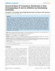 Research paper thumbnail of Structural Bases of Coronavirus Attachment to Host Aminopeptidase N and Its Inhibition by Neutralizing Antibodies