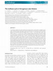 Research paper thumbnail of The methane cycle in ferruginous Lake Matano