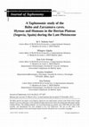 Research paper thumbnail of A Taphonomic study of the Búho and Zarzamora caves. Hyenas and Humans in the Iberian Plateau (Segovia, Spain) during the Late Pleistocene