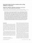 Research paper thumbnail of Heat-shock induced nuclear retention and recycling inhibition of importin alpha