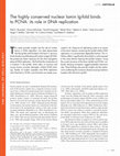 Research paper thumbnail of The highly conserved nuclear lamin Ig-fold binds to PCNA: its role in DNA replication