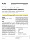 Research paper thumbnail of Identification of striatal and pallidal regions in the subpallium of anamniotes