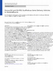 Research paper thumbnail of Porous EH and EH-PEG scaffolds as gene delivery vehicles to skeletal muscle