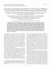 Research paper thumbnail of Genotypic and Phenotypic Characteristics of Corynebacterium diphtheriae Strains Isolated from Patients in Belarus during an Epidemic Period