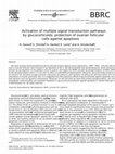 Research paper thumbnail of Activation of multiple signal transduction pathways by glucocorticoids: protection of ovarian follicular cells against apoptosis