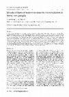 Research paper thumbnail of Structural basis of neuron-to-neuron cross-excitation in dorsal root ganglia