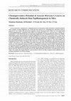 Research paper thumbnail of Chemopreventive potential of Annona muricata L leaves on chemically-induced skin papillomagenesis in mice