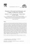 Research paper thumbnail of Formation of flavonoids and chlorogenic acid in apples as effected by crop load