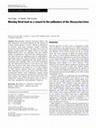 Research paper thumbnail of Morning floral heat as a reward to the pollinators of the Oncocyclus irises