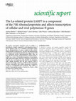 Research paper thumbnail of The La-related protein, Larp7, is a component of the 7SK snRNP and affects Tat-dependent transcription of HIV-1