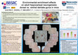 Research paper thumbnail of Environmental enrichment effects on adult hippocampal neurogenesis in mice: dorsal vs. ventral dentate gyrus