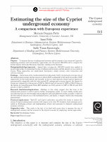 Research paper thumbnail of Estimating the Size of the Cypriot Underground Economy: A Comparison With European Experience