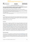 Research paper thumbnail of Well, what about intraspecific variation? Taxonomic and phylogenetic characters in the genus <i>Synoeca</i> de Saussure (Hymenoptera, Vespidae)