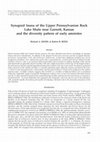 Research paper thumbnail of Synapsid fauna of the Upper Pennsylvanian Rock Lake Shale near Garnett, Kansas and the diversity pattern of early amniotes