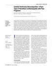 Research paper thumbnail of Isolated Ventricular Noncompaction: A Rare Type of Hereditary Cardiomyopathy with Poor Prognosis