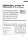 Research paper thumbnail of Extracellular Biosynthesis of Magnetite using Fungi