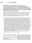 Research paper thumbnail of Testicular mixed germ cell tumors: a morphological and immunohistochemical study using stem cell markers, OCT3/4, SOX2 and GDF3, with emphasis on morphologically difficult-to-classify areas