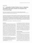 Research paper thumbnail of Ca2+-Calmodulin Feedback Mediates Sensory Adaptation and Inhibits Pheromone-Sensitive Ion Channels in the Vomeronasal Organ