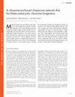 Research paper thumbnail of A ribosome-anchored chaperone network that facilitates eukaryotic ribosome biogenesis