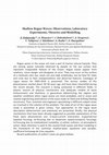 Research paper thumbnail of Shallow Rogue Waves: Observations, Laboratory Experiments, Theories and Modelling