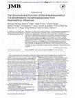 Research paper thumbnail of The structure and function of the 6-hydroxymethyl-7,8-dihydropterin pyrophosphokinase from Haemophilus influenzae