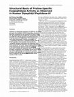 Research paper thumbnail of Structural basis of proline-specific exopeptidase activity as observed in human dipeptidyl peptidase-IV