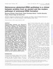 Research paper thumbnail of Deinococcus glutaminyl-tRNA synthetase is a chimer between proteins from an ancient and the modern pathways of aminoacyl-tRNA formation