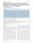 Research paper thumbnail of JNK3 Maintains Expression of the Insulin Receptor Substrate 2 (IRS2) in Insulin-Secreting Cells: Functional Consequences for Insulin Signaling