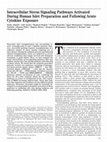 Research paper thumbnail of Intracellular Stress Signaling Pathways Activated During Human Islet Preparation and Following Acute Cytokine Exposure