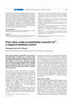 Research paper thumbnail of From nitric oxide to endothelial cytosolic Ca 2+: a negative feedback control