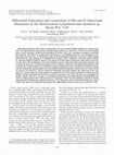 Research paper thumbnail of Differential Expression and Localization of Mn and Fe Superoxide Dismutases in the Heterocystous Cyanobacterium Anabaena sp. Strain PCC 7120