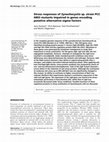 Research paper thumbnail of Stress responses of Synechocystis sp. PCC 6803 mutants impaired in genes encoding putative alternative sigma factors