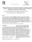 Research paper thumbnail of Differential responses of superoxide dismutase in freezing resistant Solanum curtilobum and freezing sensitive Solanum tuberosum subjected to oxidative and water stress