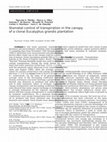 Research paper thumbnail of Stomatal control of transpiration in the canopy of a clonal Eucalyptus grandis plantation