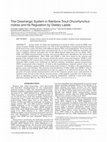 Research paper thumbnail of The Orexinergic System in Rainbow Trout Oncorhynchus mykiss and Its Regulation by Dietary Lipids