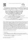 Research paper thumbnail of Therapeutic mechanism of repetitive transcranial magnetic stimulation (rTMS)—a monkey PET study