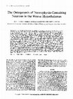 Research paper thumbnail of The ontogenesis of neurophysin-containing neurons in the mouse hypothalamus