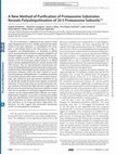 Research paper thumbnail of A New Method of Purification of Proteasome Substrates Reveals Polyubiquitination of 20 S Proteasome Subunits