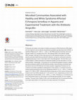 Research paper thumbnail of Microbial Communities Associated with Healthy and White Syndrome-Affected Echinopora lamellosa in Aquaria and Experimental Treatment with the Antibiotic Ampicillin